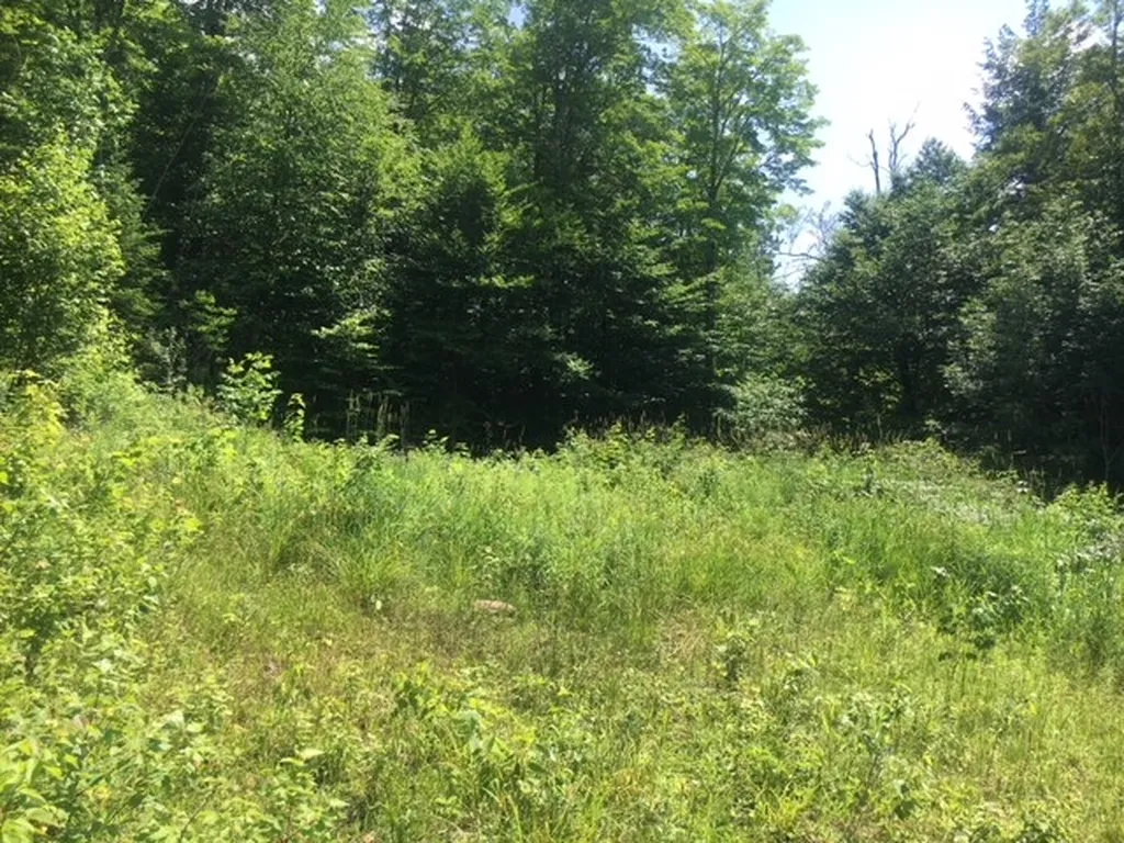 3136 North Road Eden VT 05653