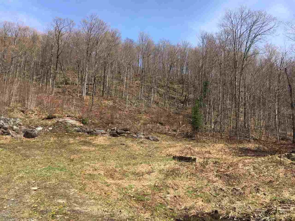 3136 North Road Eden VT 05653