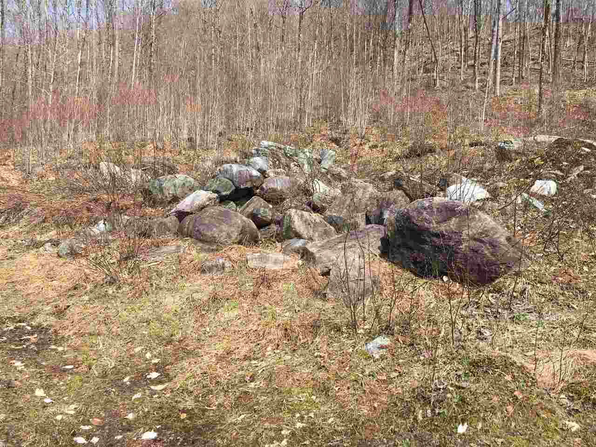3136 North Road Eden VT 05653