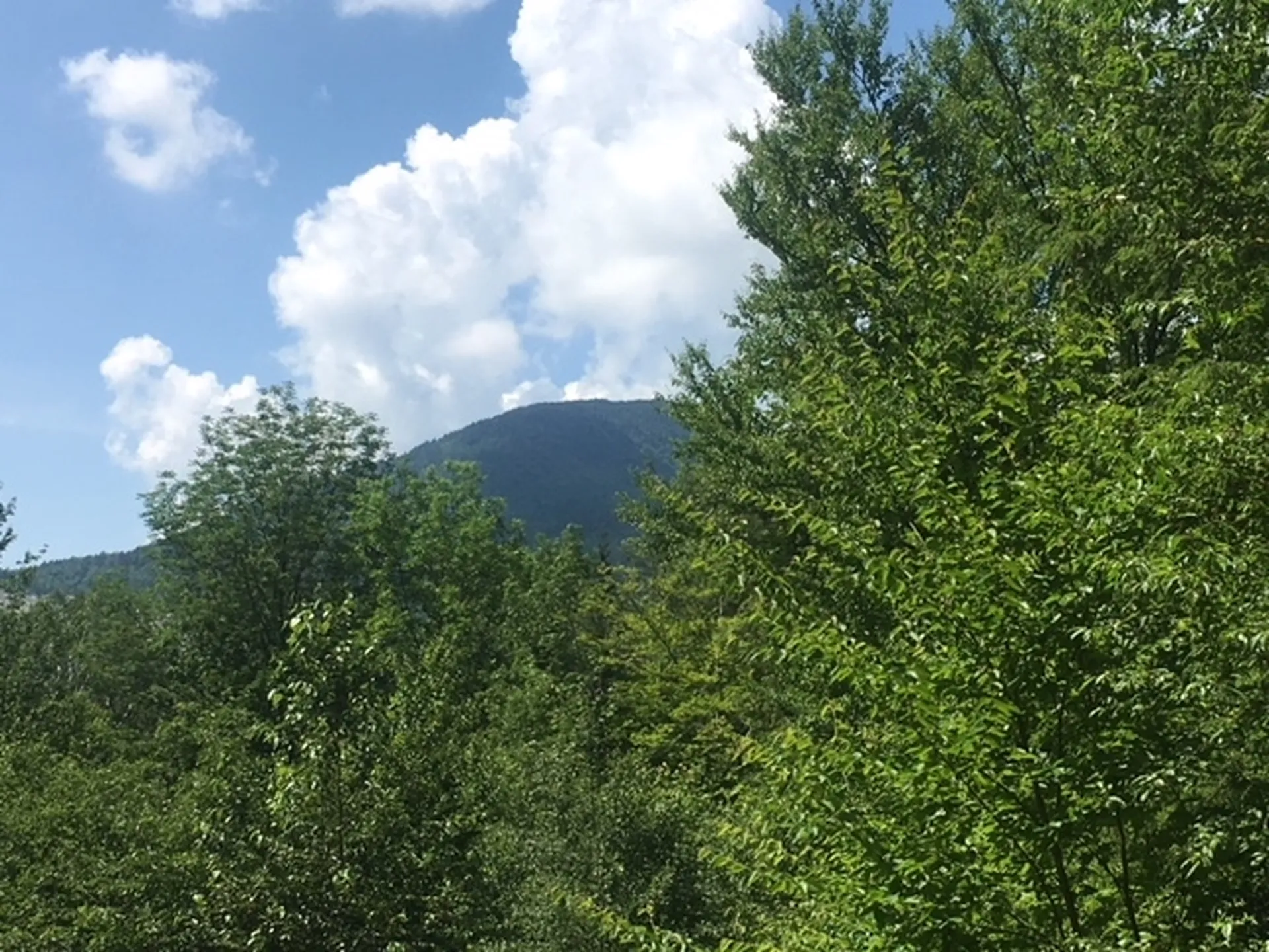 3136 North Road Eden VT 05653