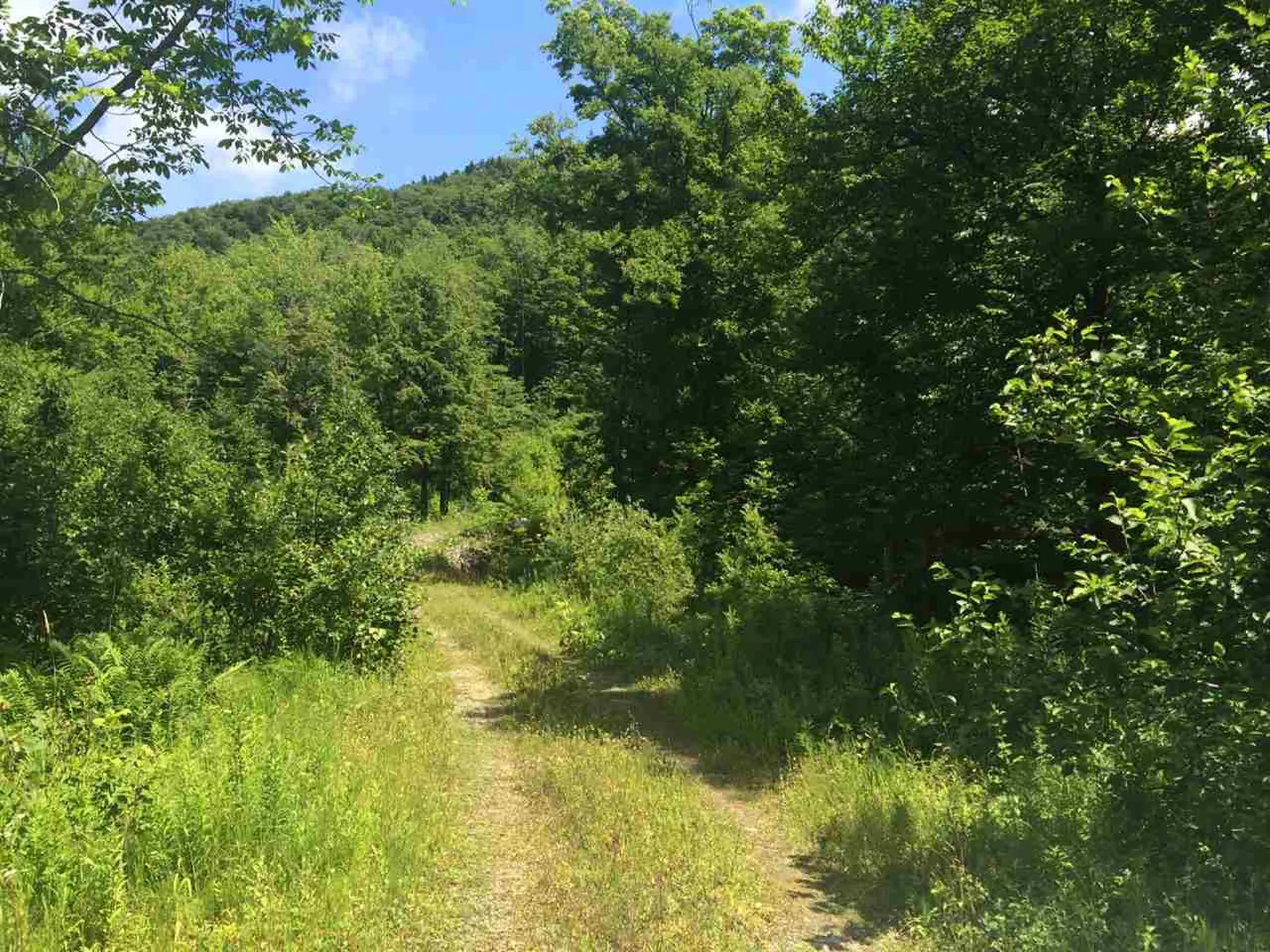 3136 North Road Eden VT 05653