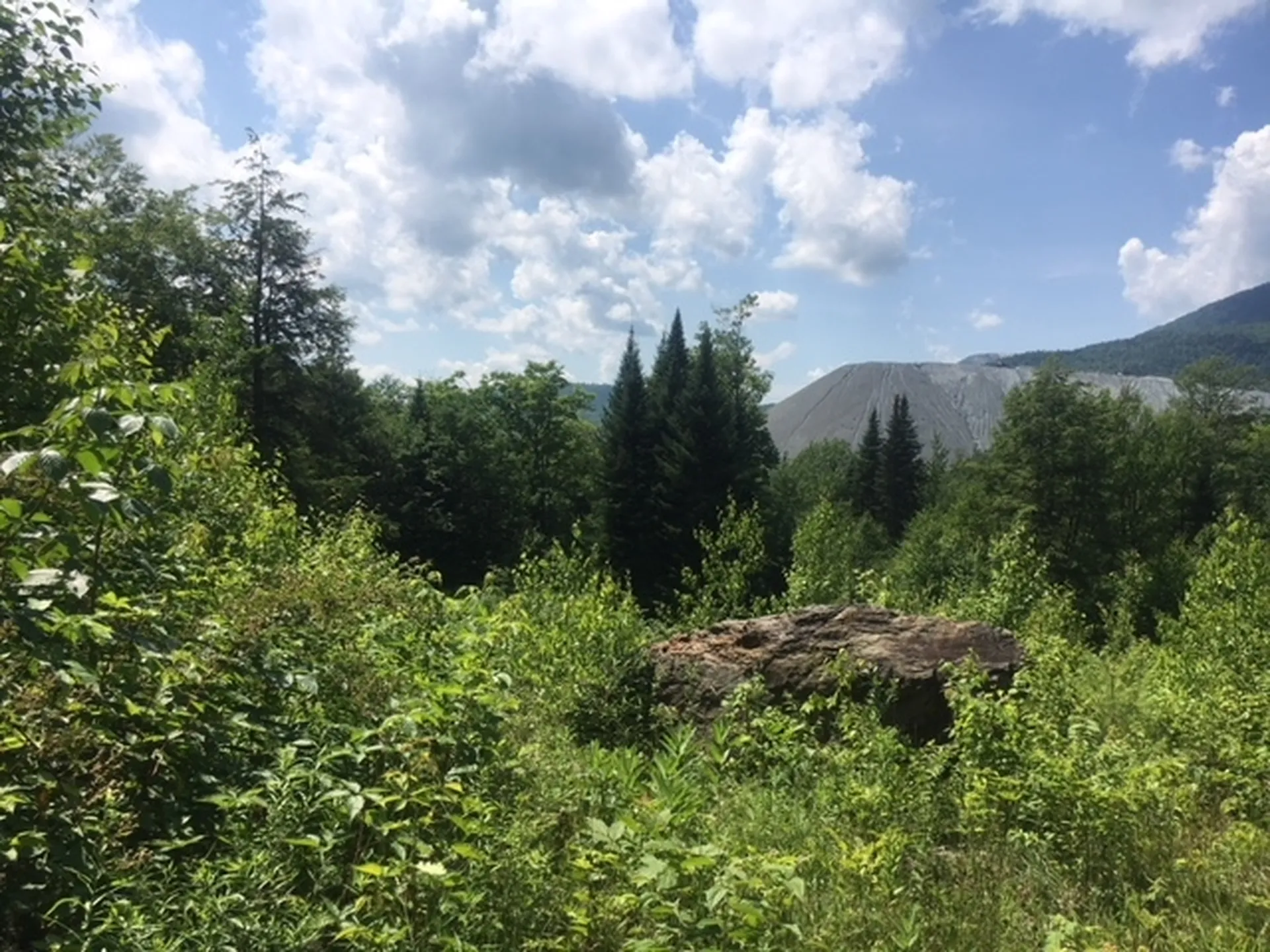 3136 North Road Eden VT 05653