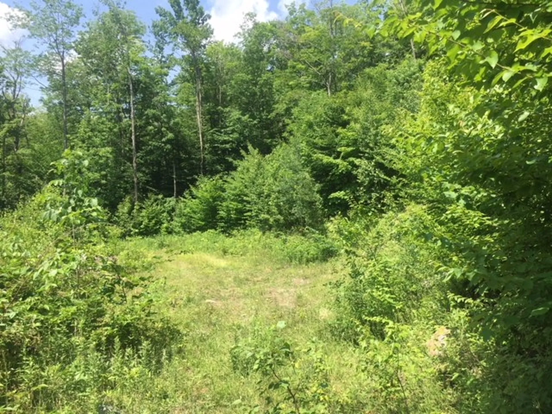 3136 North Road Eden VT 05653