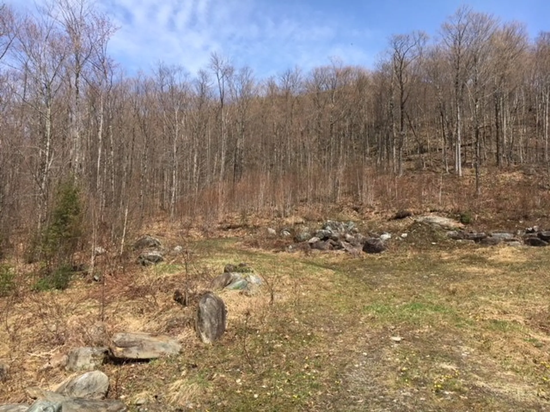3136 North Road Eden VT 05653