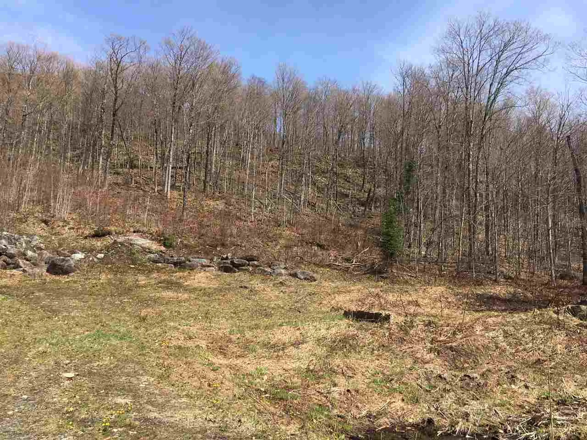 3136 North Road Eden VT 05653