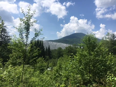3136 North Road Eden VT 05653