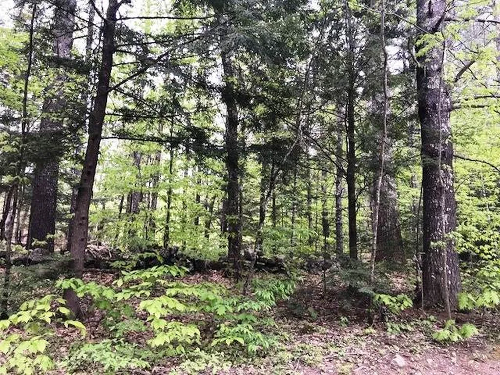 79 County Road Amherst NH 03031