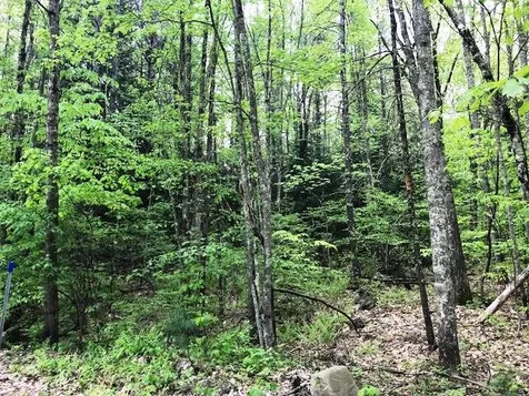 79 County Road Amherst NH 03031