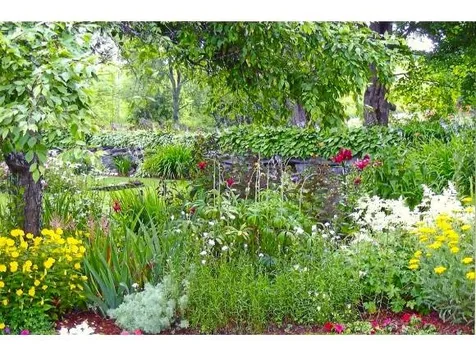 1051 Ketchum Hill Road Craftsbury VT 05826