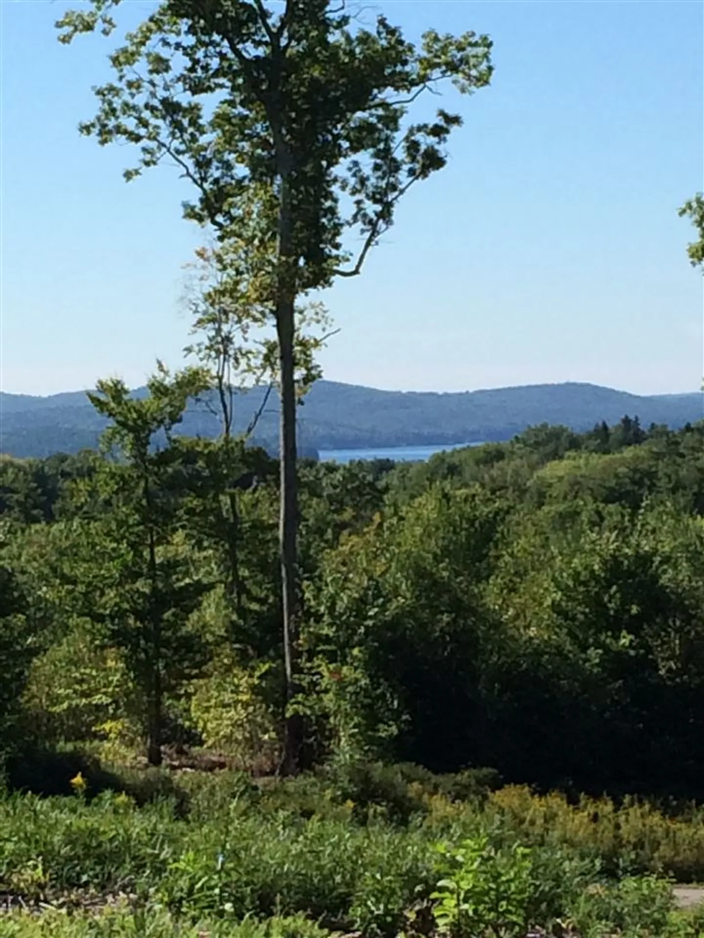 9 Ambrose Way Wolfeboro NH 03894