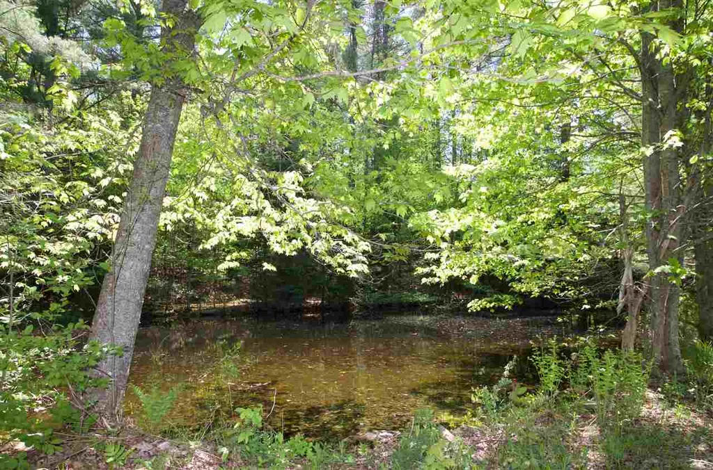 1966 Thompsonburg Road Londonderry VT 05148