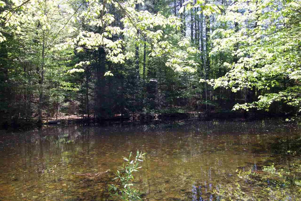 1966 Thompsonburg Road Londonderry VT 05148
