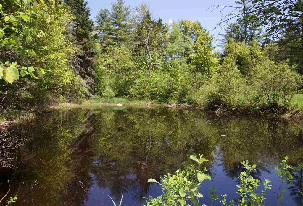 1966 Thompsonburg Road Londonderry VT 05148