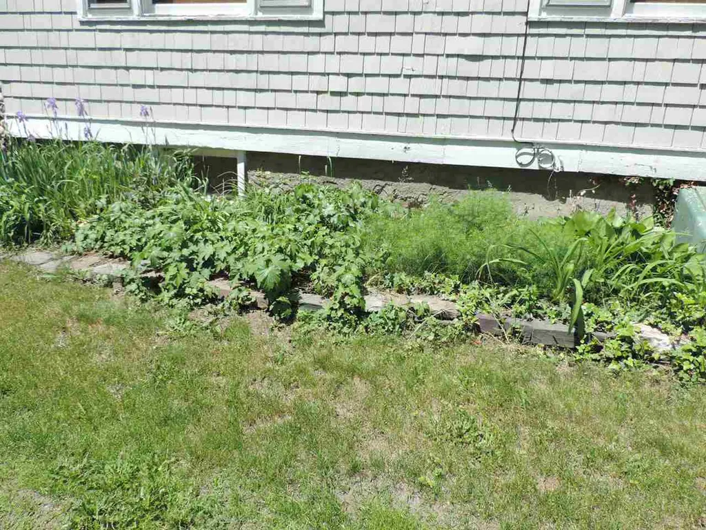 244 North Street Wells VT 05774