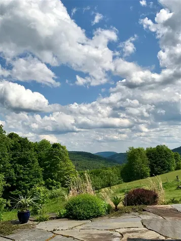 668 Stone Chimney Road Reading VT 05062