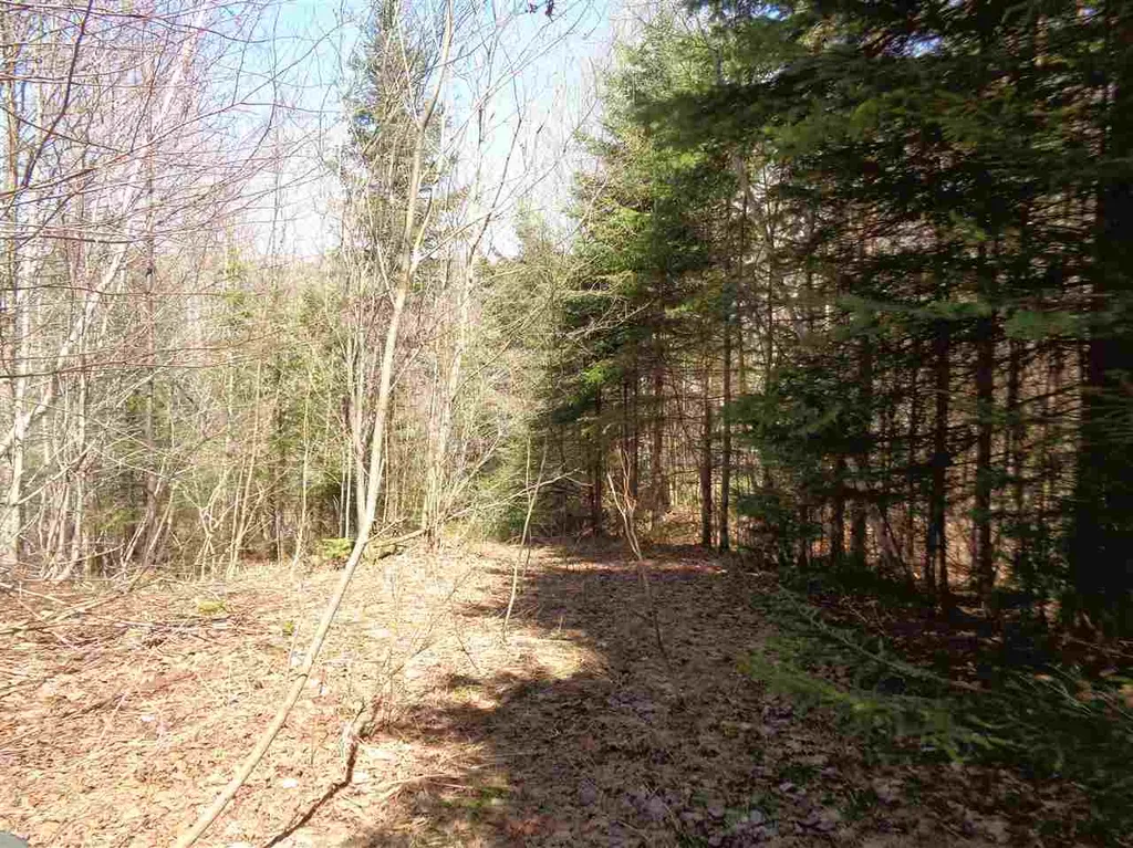 12 Cooke Road Stewartstown NH 03576