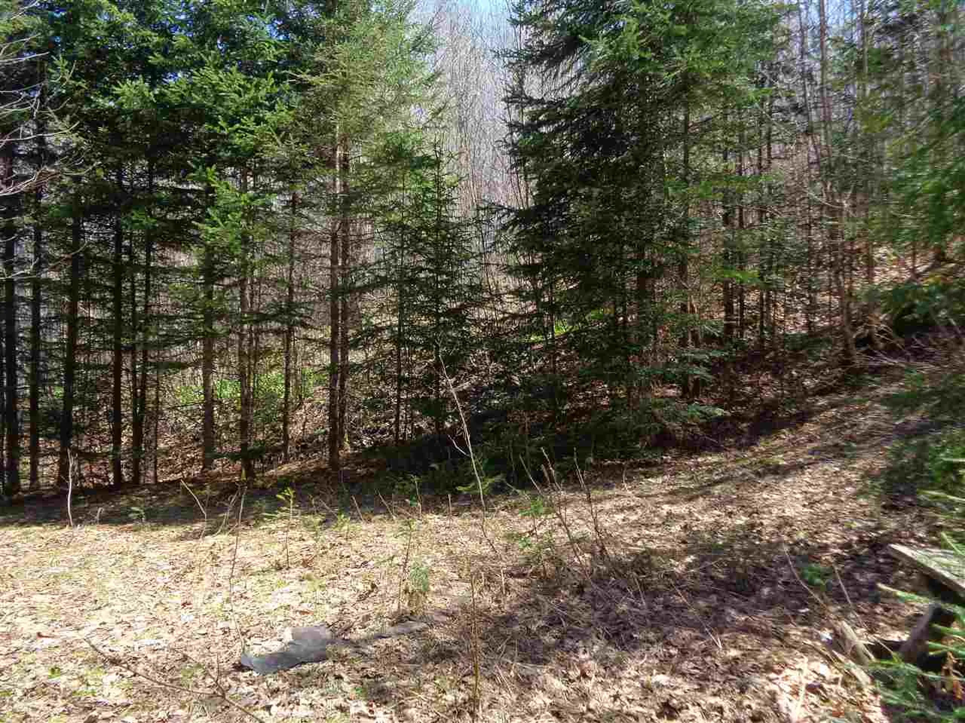 12 Cooke Road Stewartstown NH 03576