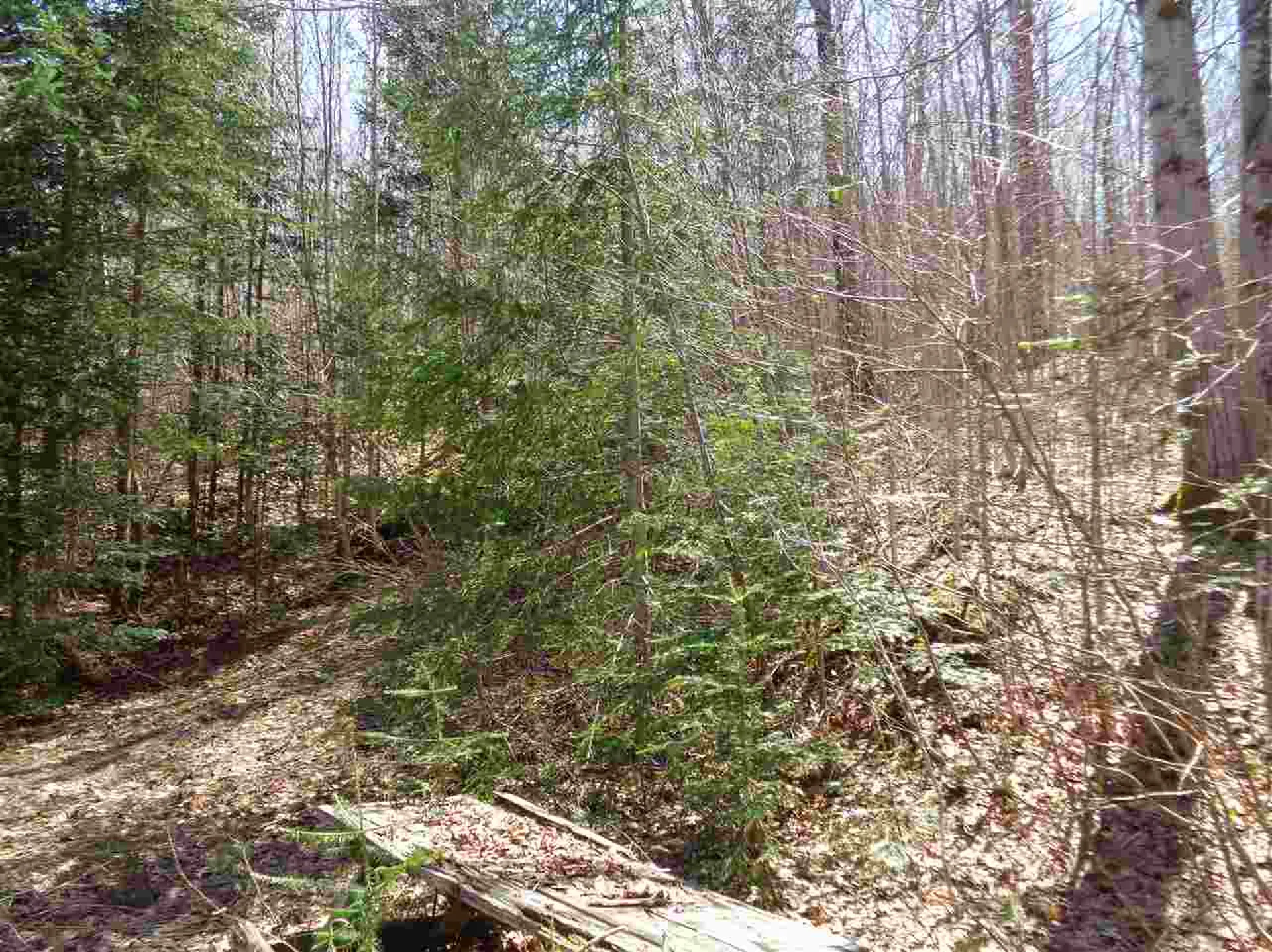 12 Cooke Road Stewartstown NH 03576