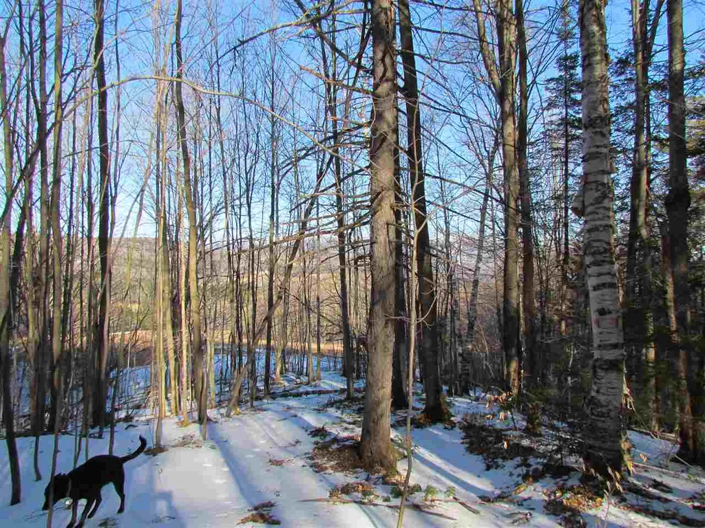 715 Mad Meadows Road Warren VT 05674