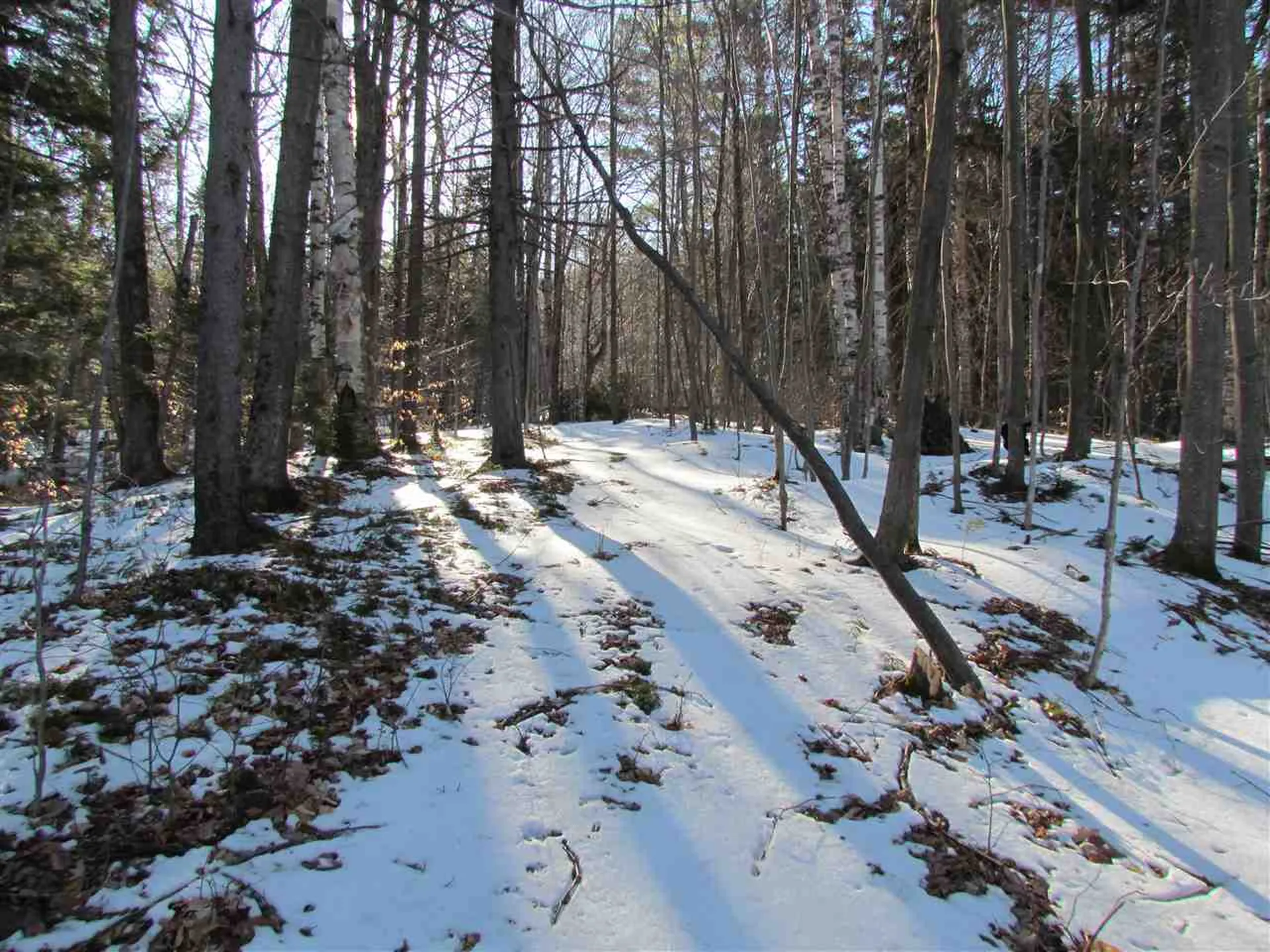 715 Mad Meadows Road Warren VT 05674