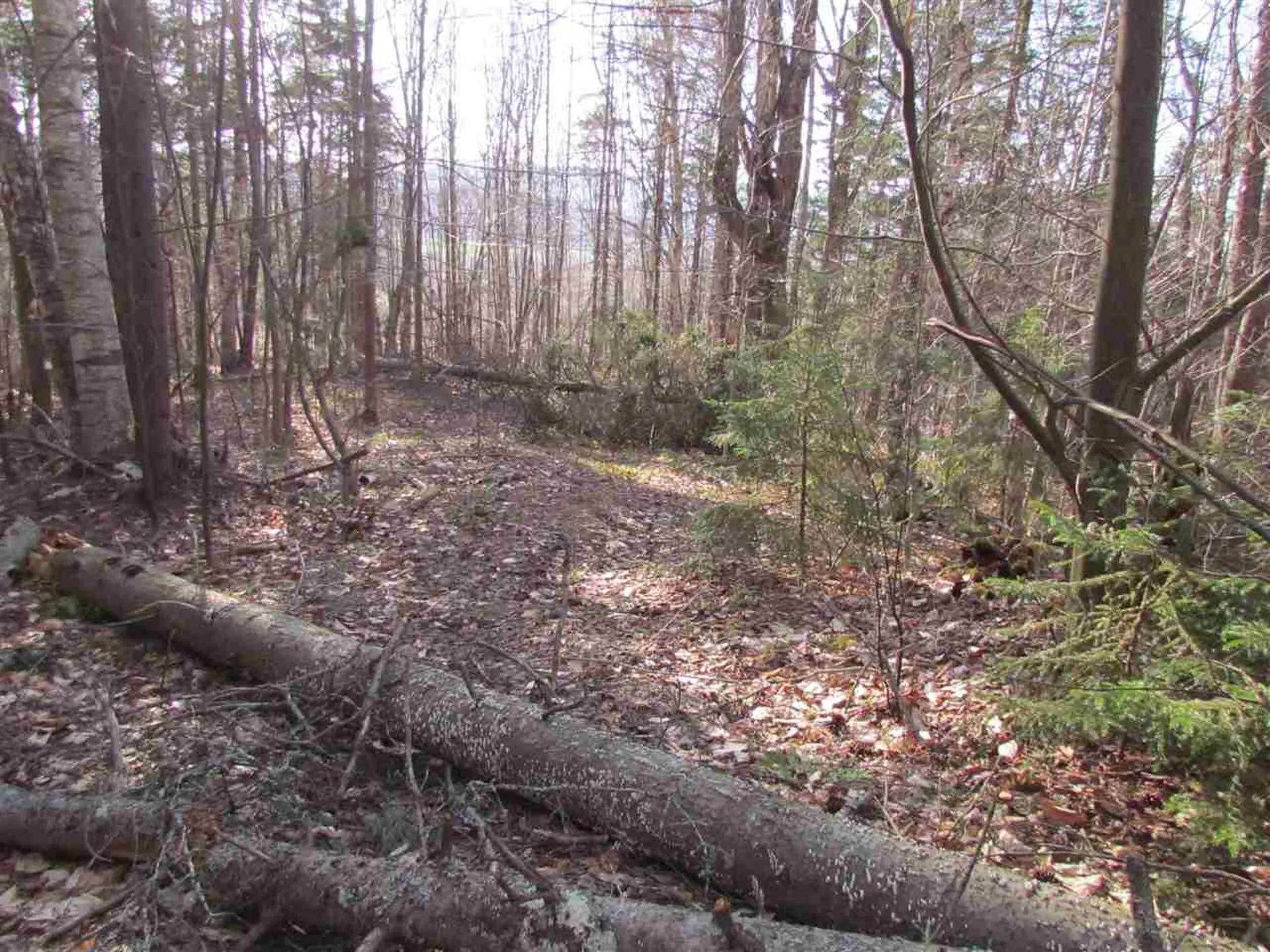 715 Mad Meadows Road Warren VT 05674