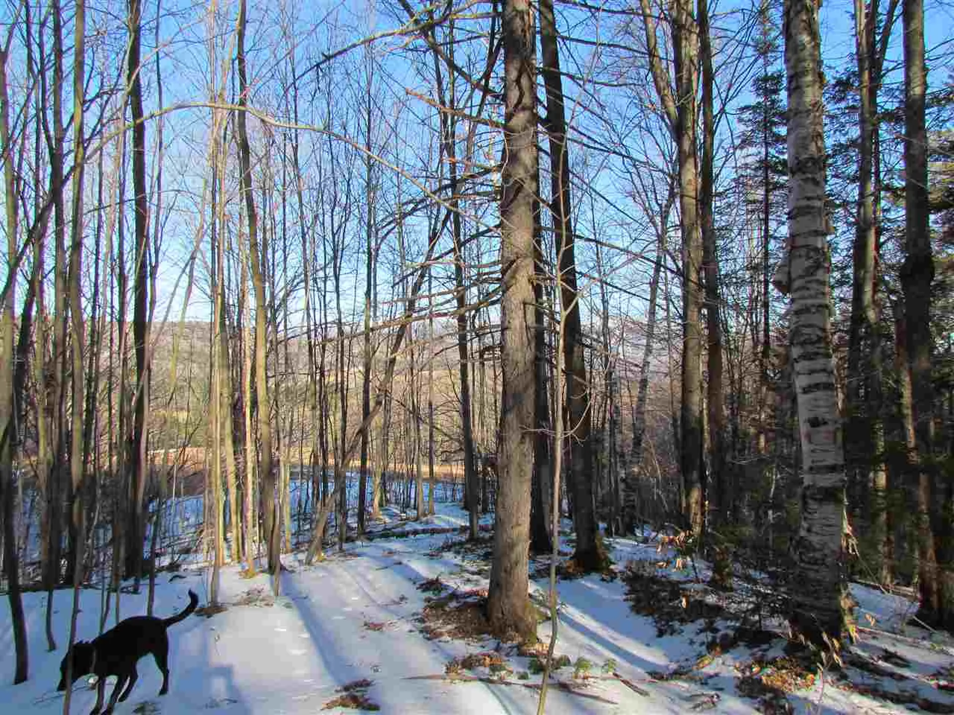 715 Mad Meadows Road Warren VT 05674
