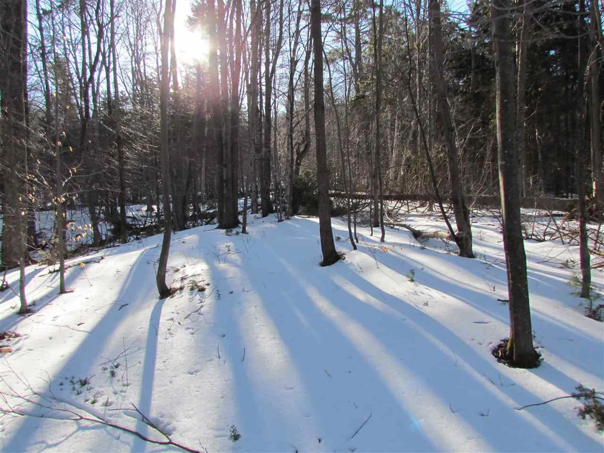 715 Mad Meadows Road Warren VT 05674