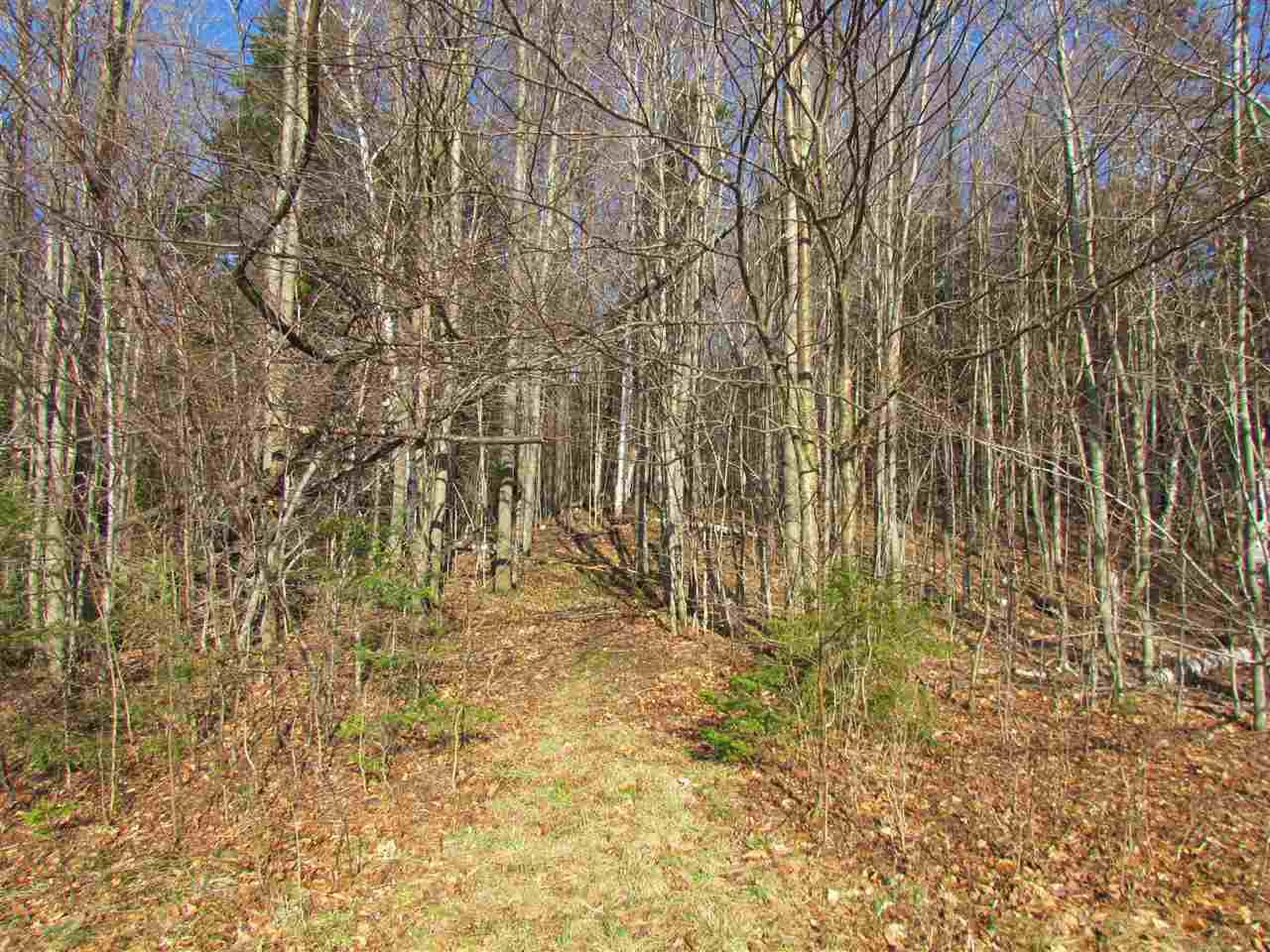 715 Mad Meadows Road Warren VT 05674