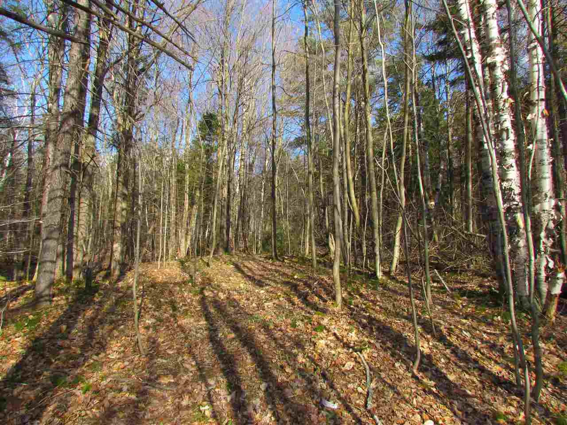 715 Mad Meadows Road Warren VT 05674