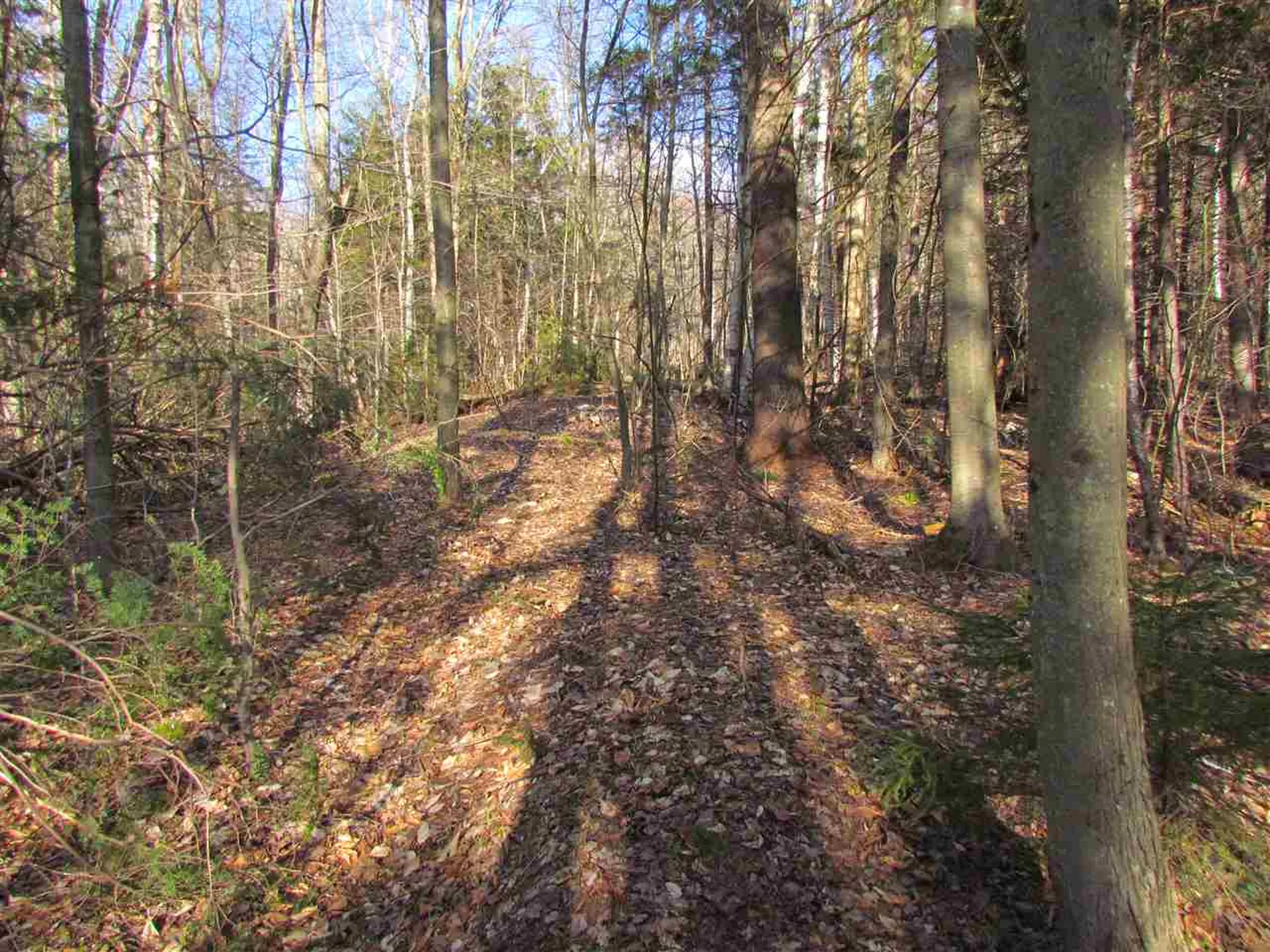 715 Mad Meadows Road Warren VT 05674