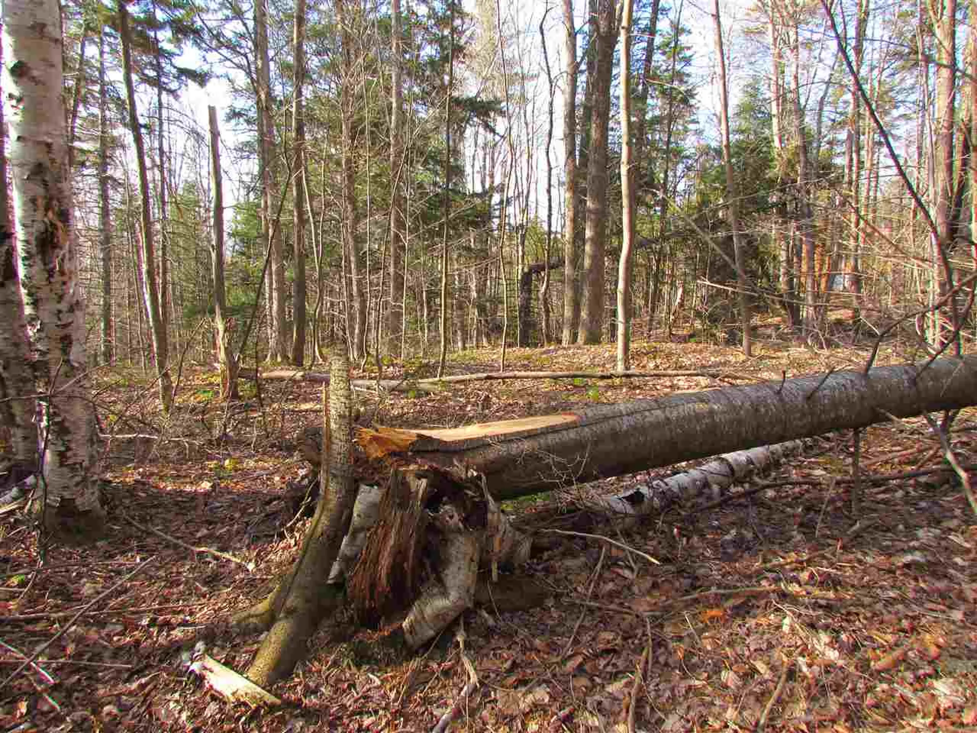 715 Mad Meadows Road Warren VT 05674