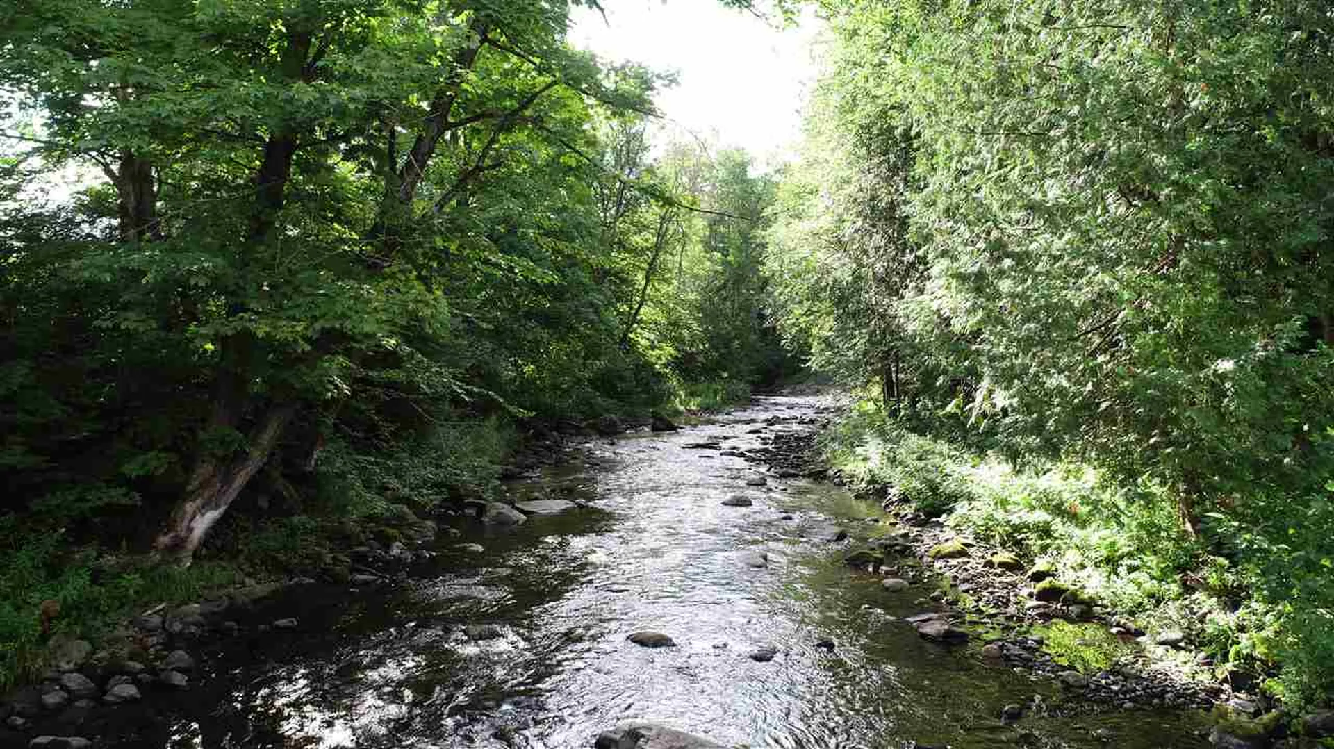 213 Kittredge Road Brownington VT 05860