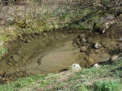 213 Kittredge Road Brownington VT 05860