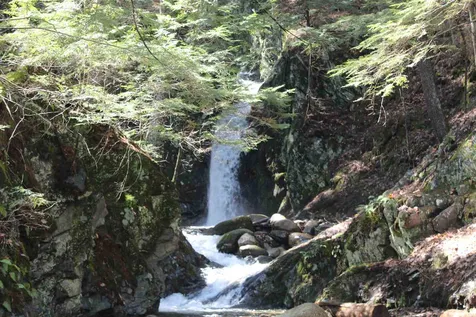 1255 Lake Morey Road Fairlee VT 05045
