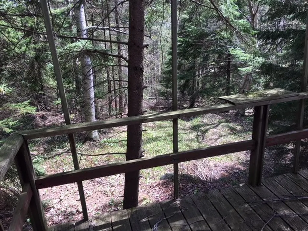 172 Old Log Road Stockbridge VT 05772