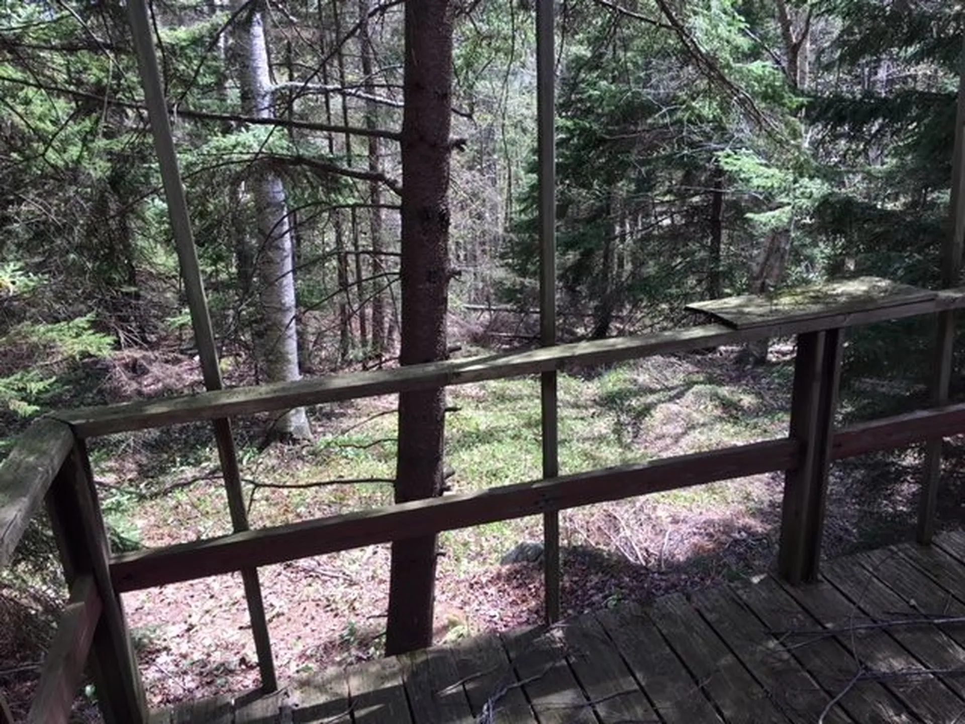 172 Old Log Road Stockbridge VT 05772