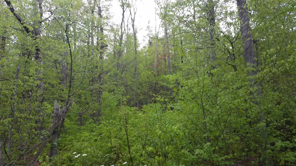 327 Bergabhang Drive Stamford VT 05352