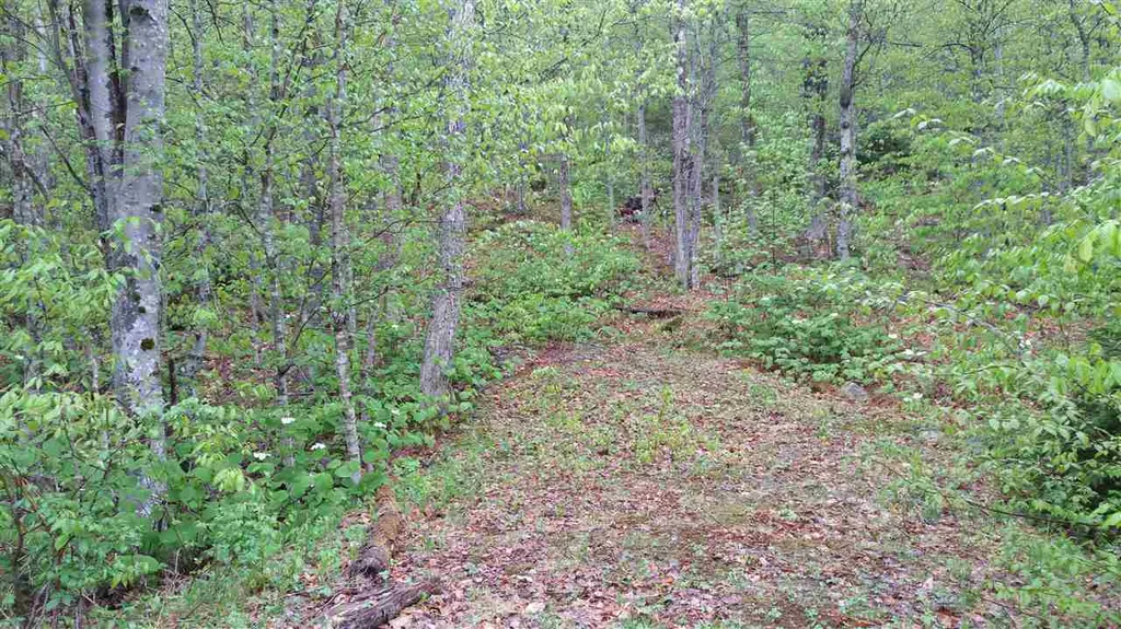 327 Bergabhang Drive Stamford VT 05352