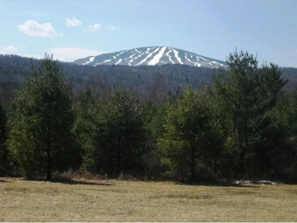 3 Lightfoot Cemetery Road Winhall VT 05340