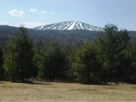 3 Lightfoot Cemetery Road Winhall VT 05340