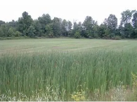 Lot 3 Route 78 Alburgh VT 05440