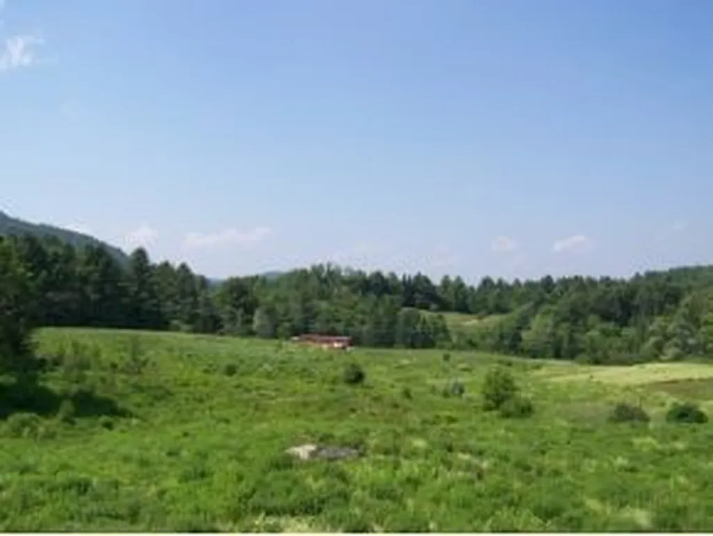 1-b Carey Road Hardwick VT 05843