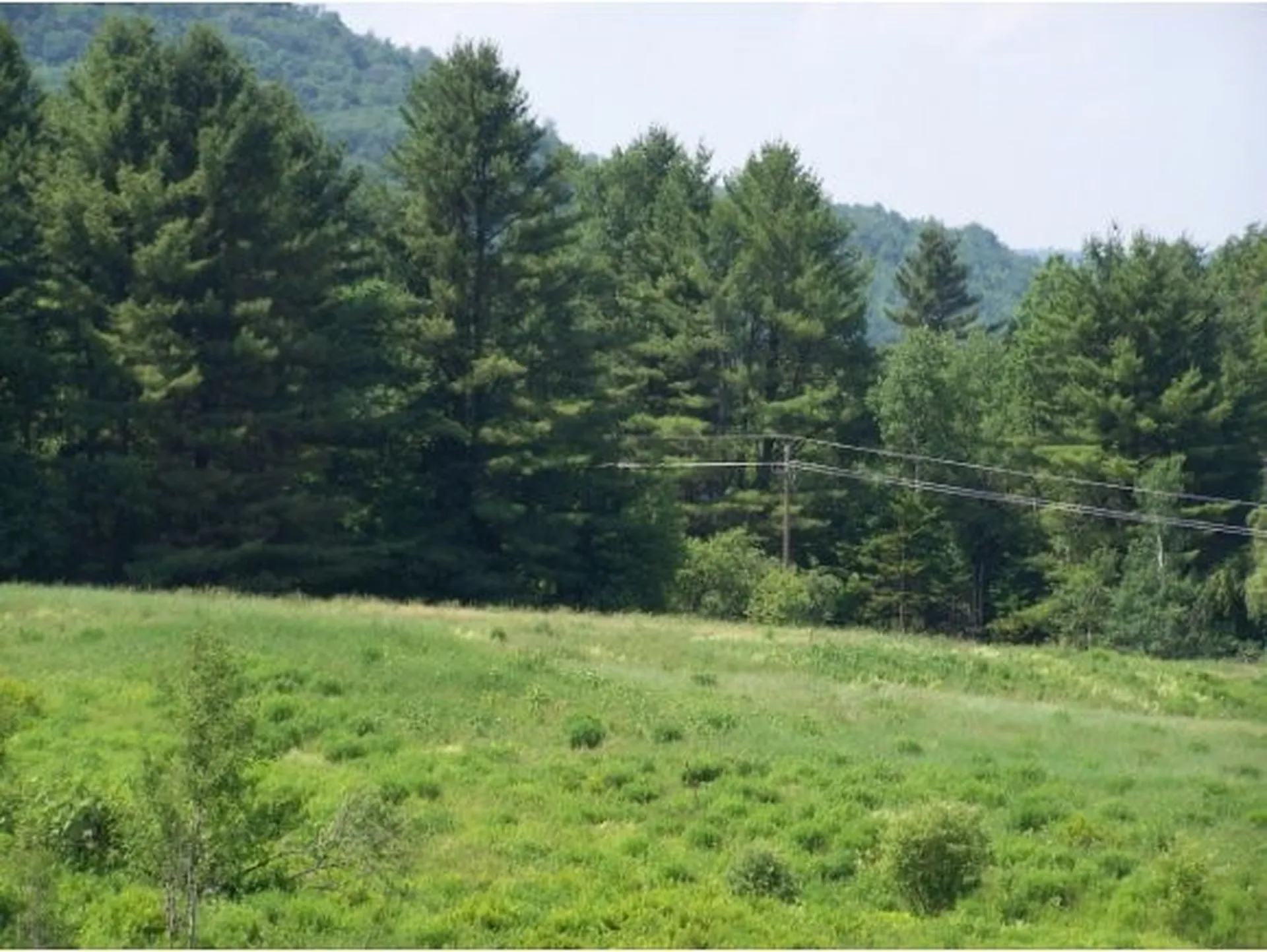1-b Carey Road Hardwick VT 05843