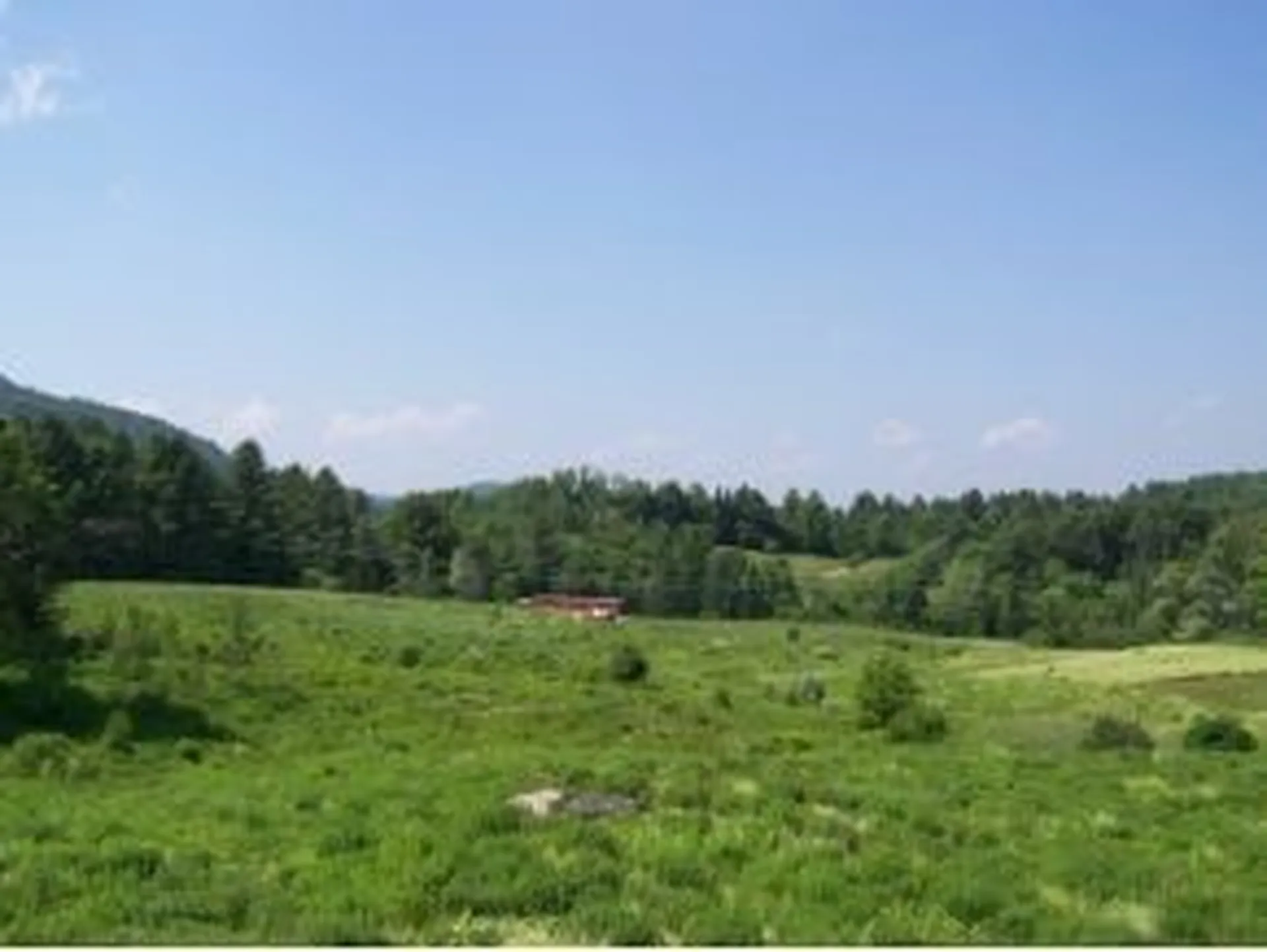 1-b Carey Road Hardwick VT 05843