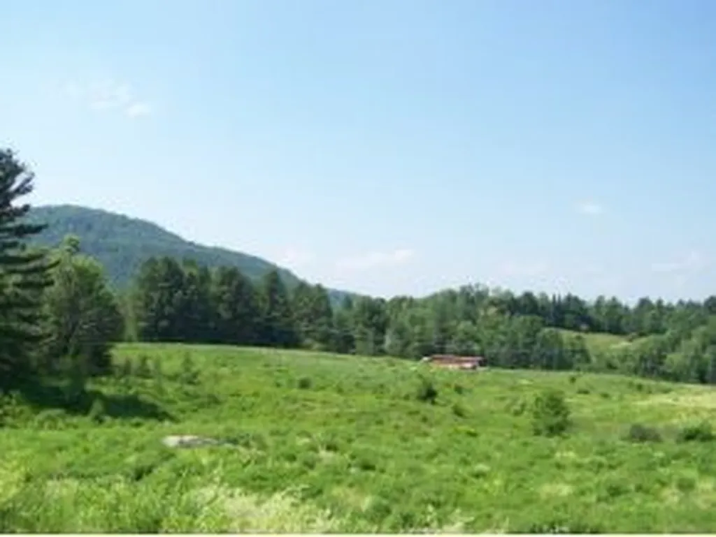 1-c Carey Road Hardwick VT 05843