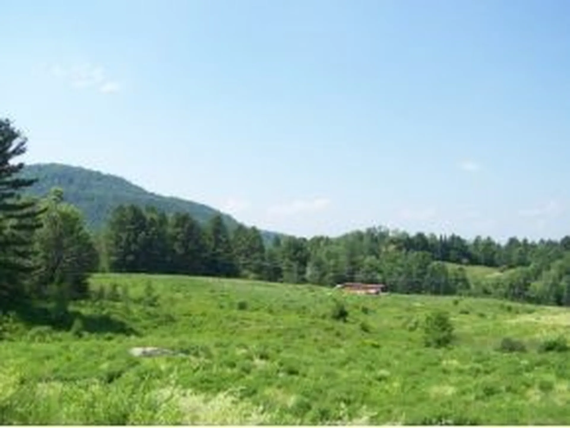 1-c Carey Road Hardwick VT 05843