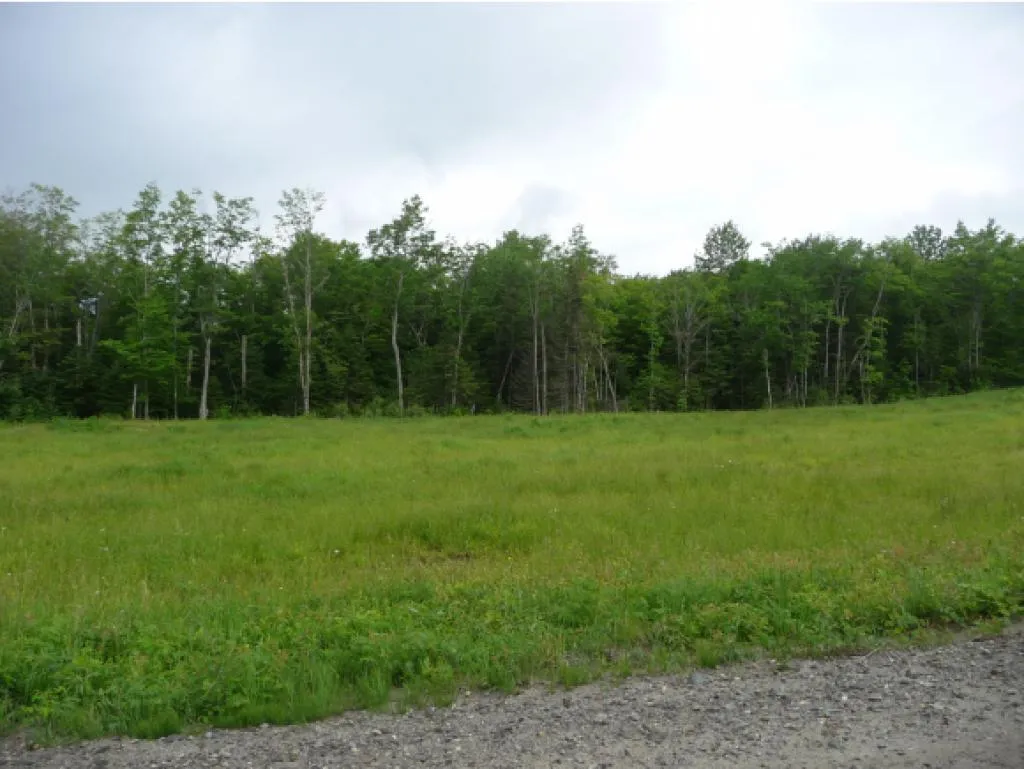 Lot 1 Hinton Hill Road Westmore VT 05860