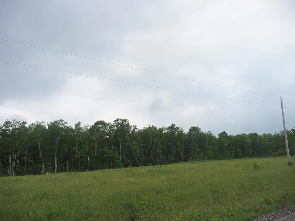Lot 1 Hinton Hill Road Westmore VT 05860