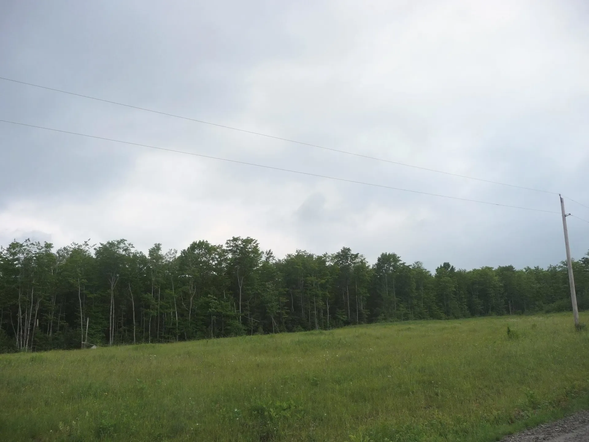 Lot 1 Hinton Hill Road Westmore VT 05860