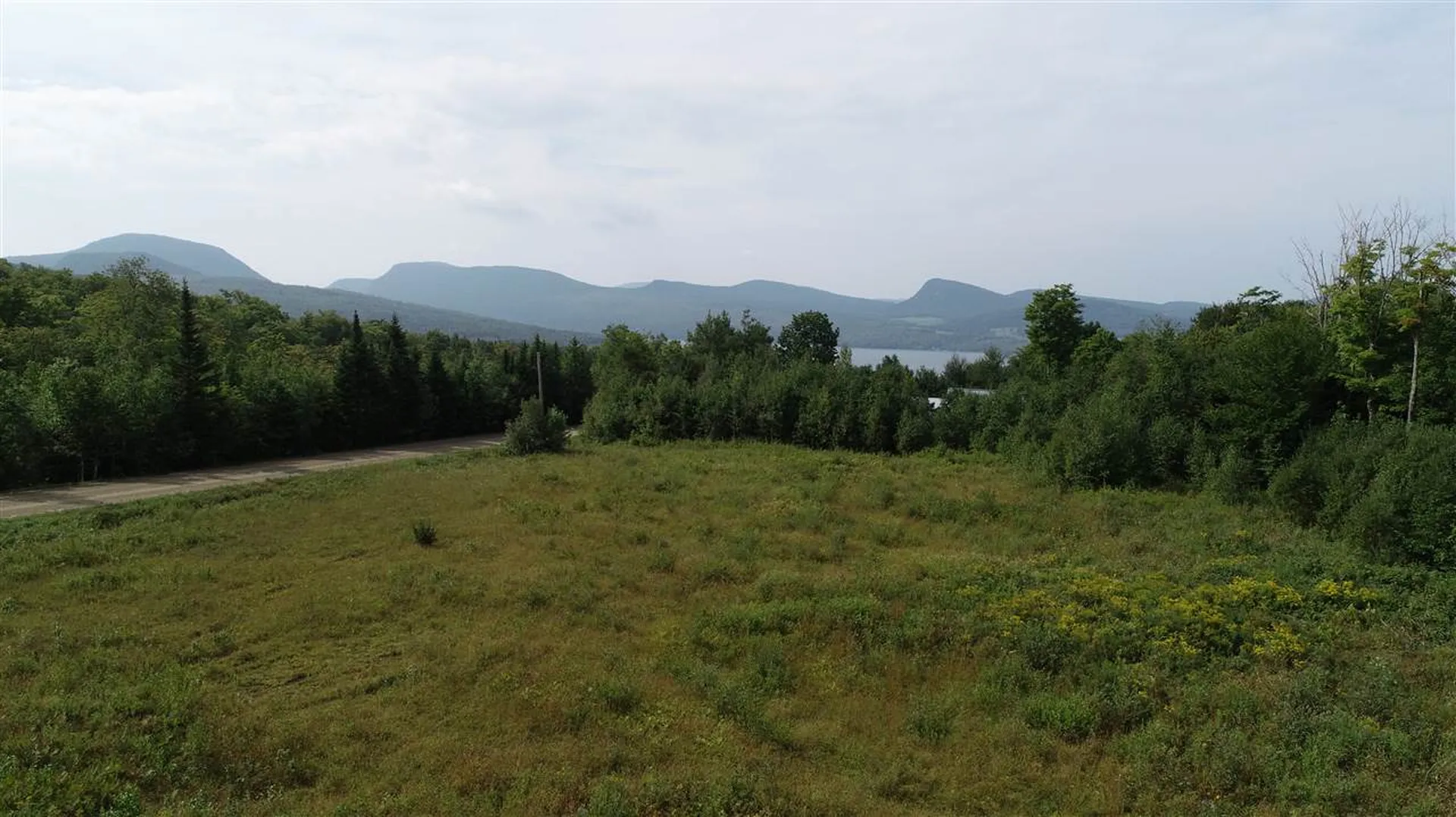 Lot 1 Hinton Hill Road Westmore VT 05860